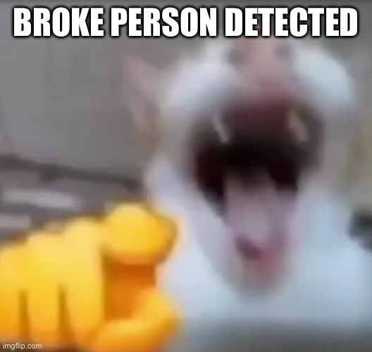 Broke person detected | BROKE PERSON DETECTED | image tagged in cat pointing and laughing | made w/ Imgflip meme maker