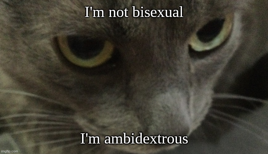 Sweetie | I'm not bisexual; I'm ambidextrous | image tagged in sweetie | made w/ Imgflip meme maker