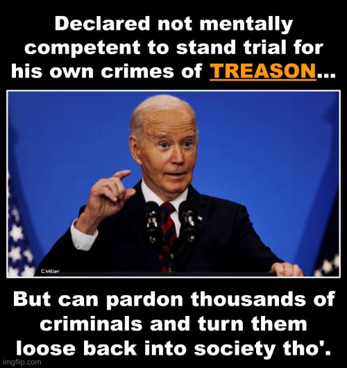 Right? | image tagged in joe biden,presidential,pardon,politics,democrats,republicans | made w/ Imgflip meme maker