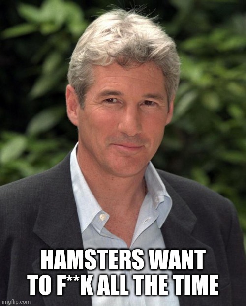 Richard Gere | HAMSTERS WANT TO F**K ALL THE TIME | image tagged in richard gere | made w/ Imgflip meme maker