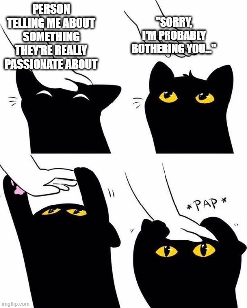 cat headpat meme | "SORRY, I'M PROBABLY BOTHERING YOU..."; PERSON TELLING ME ABOUT SOMETHING THEY'RE REALLY PASSIONATE ABOUT | image tagged in cat headpat meme,memes,black cat | made w/ Imgflip meme maker