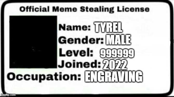 Meme Stealing License | TYREL; MALE; 999999; 2022; ENGRAVING | image tagged in meme stealing license | made w/ Imgflip meme maker