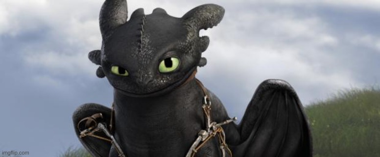 Toothless-Do I Know You  | image tagged in toothless-do i know you | made w/ Imgflip meme maker