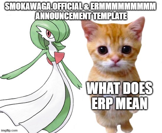 help | WHAT DOES ERP MEAN | made w/ Imgflip meme maker