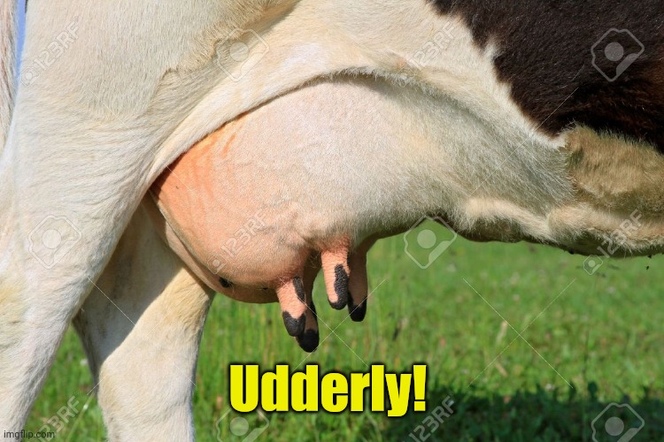 udders | Udderly! | image tagged in udders | made w/ Imgflip meme maker