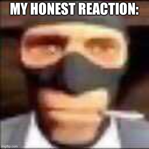 spi | MY HONEST REACTION: | image tagged in spi | made w/ Imgflip meme maker