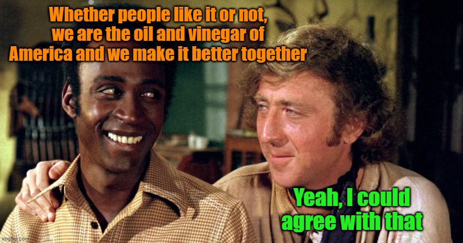 Just a point I keep trying to make | Whether people like it or not, we are the oil and vinegar of America and we make it better together; Yeah, I could agree with that | image tagged in racism,blazing saddles,black and white | made w/ Imgflip meme maker