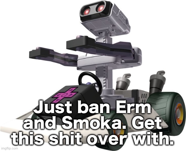 Harassment should count towards a ban, and they’ve been doing exactly that for an hour now | Just ban Erm and Smoka. Get this shit over with. | image tagged in r o b mario kart ds | made w/ Imgflip meme maker