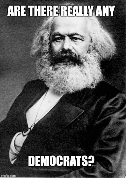 Karl Marx | ARE THERE REALLY ANY DEMOCRATS? | image tagged in karl marx | made w/ Imgflip meme maker