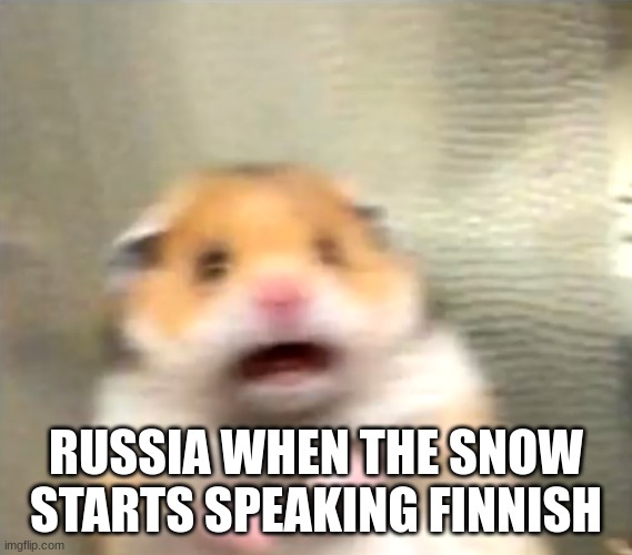 Scared Hamster | RUSSIA WHEN THE SNOW STARTS SPEAKING FINNISH | image tagged in scared hamster | made w/ Imgflip meme maker