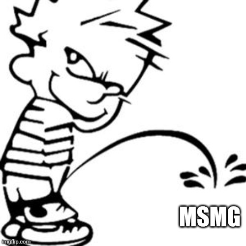 piss on you | MSMG | image tagged in piss on you | made w/ Imgflip meme maker