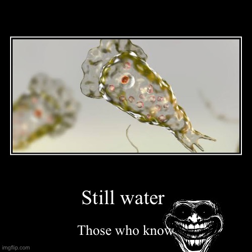 Those who know? | Still water | Those who know | image tagged in funny,demotivationals | made w/ Imgflip demotivational maker