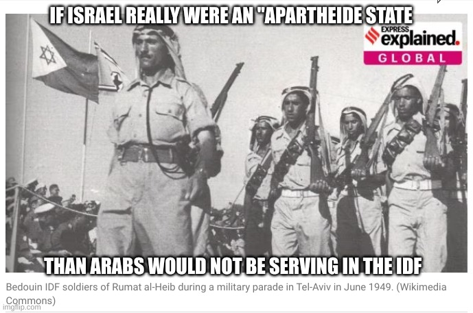 IF ISRAEL REALLY WERE AN ''APARTHEIDE STATE; THAN ARABS WOULD NOT BE SERVING IN THE IDF | made w/ Imgflip meme maker