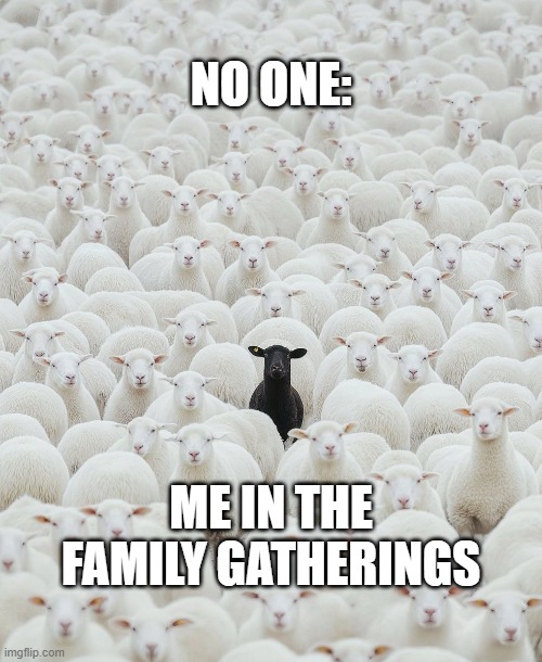 black ship | NO ONE:; ME IN THE FAMILY GATHERINGS | image tagged in funny meme,black sheep | made w/ Imgflip meme maker