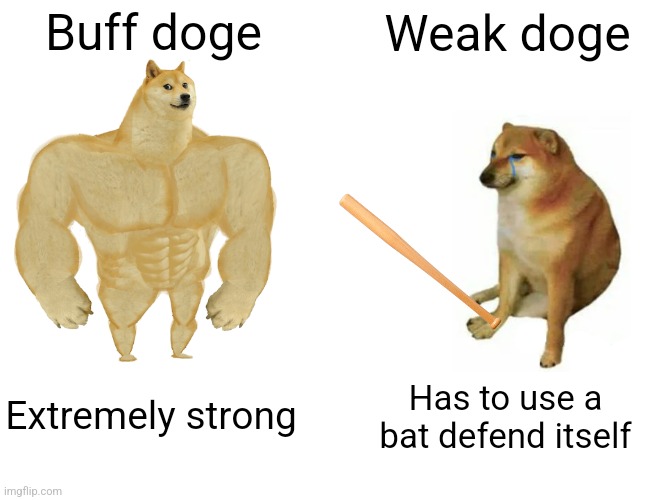 Buff Doge vs. Cheems | Buff doge; Weak doge; Extremely strong; Has to use a bat defend itself | image tagged in memes,buff doge vs cheems | made w/ Imgflip meme maker