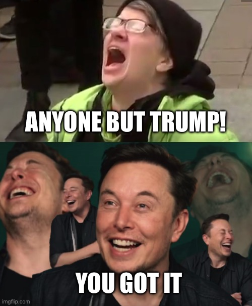 YOU GOT IT ANYONE BUT TRUMP! | image tagged in screaming liberal,elon musk laughing | made w/ Imgflip meme maker