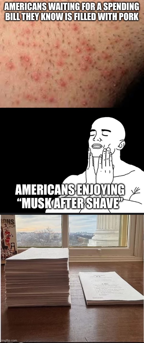 AMERICANS WAITING FOR A SPENDING BILL THEY KNOW IS FILLED WITH PORK; AMERICANS ENJOYING “MUSK AFTER SHAVE” | image tagged in satisfied,us dec spending bill | made w/ Imgflip meme maker