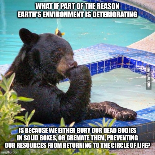 3am thoughts | WHAT IF PART OF THE REASON EARTH'S ENVIRONMENT IS DETERIORATING; IS BECAUSE WE EITHER BURY OUR DEAD BODIES IN SOLID BOXES, OR CREMATE THEM, PREVENTING OUR RESOURCES FROM RETURNING TO THE CIRCLE OF LIFE? | image tagged in ponder bear,memes,fun,3am thoughts | made w/ Imgflip meme maker