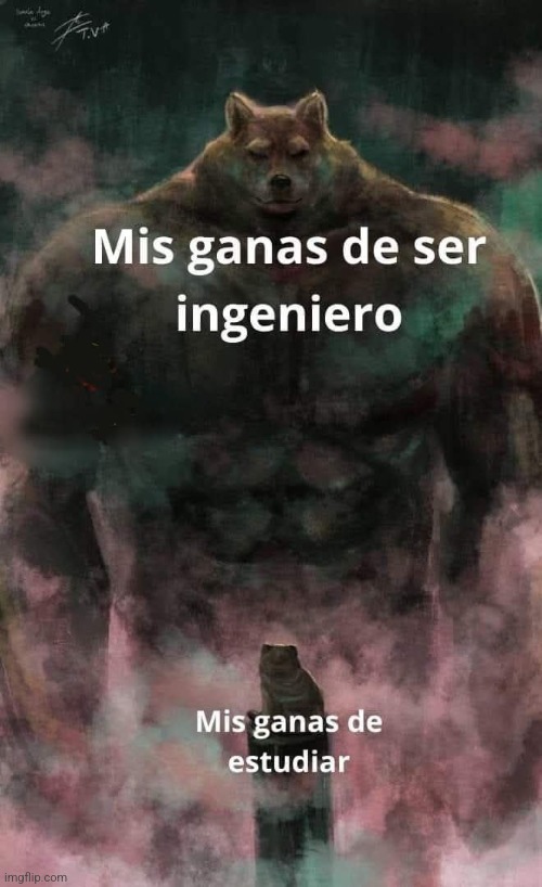 9el71h.jpg