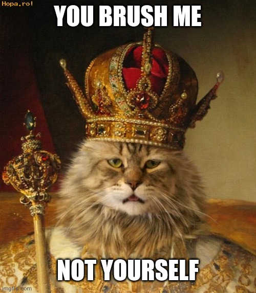 King cat | YOU BRUSH ME NOT YOURSELF | image tagged in king cat | made w/ Imgflip meme maker