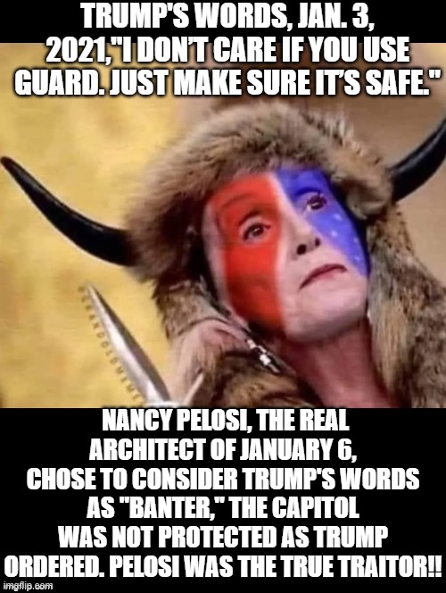 Apologies to the buffalo head guy! | TRUMP'S WORDS, JAN. 3, 2021,"I DON’T CARE IF YOU USE GUARD. JUST MAKE SURE IT’S SAFE."; NANCY PELOSI, THE REAL ARCHITECT OF JANUARY 6, CHOSE TO CONSIDER TRUMP'S WORDS AS "BANTER," THE CAPITOL WAS NOT PROTECTED AS TRUMP ORDERED. PELOSI WAS THE TRUE TRAITOR!! | image tagged in traitors,treason | made w/ Imgflip meme maker