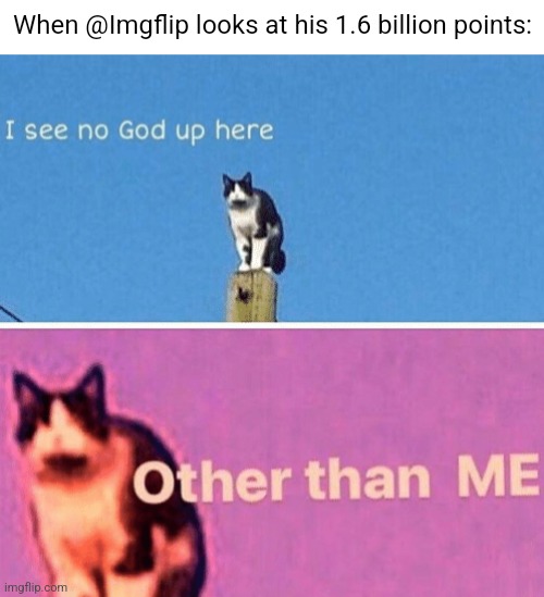 Hail pole cat | When @Imgflip looks at his 1.6 billion points: | image tagged in hail pole cat | made w/ Imgflip meme maker