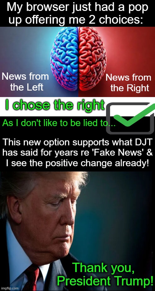 The Leftist Media is a Huge Problem; Now There's Renewed Hope for Factual News | My browser just had a pop
up offering me 2 choices:; News from 
the Left; News from 
the Right; I chose the right; As I don't like to be lied to... This new option supports what DJT
has said for years re 'Fake News' &
I see the positive change already! Thank you, 
President Trump! | image tagged in donald trump,media,more truth,less bias and censorship,hope and change,liberals vs conservatives | made w/ Imgflip meme maker