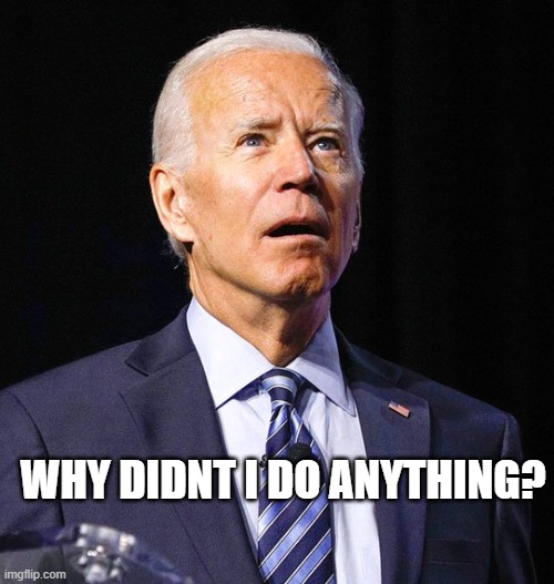 Joe Biden | WHY DIDNT I DO ANYTHING? | image tagged in joe biden | made w/ Imgflip meme maker