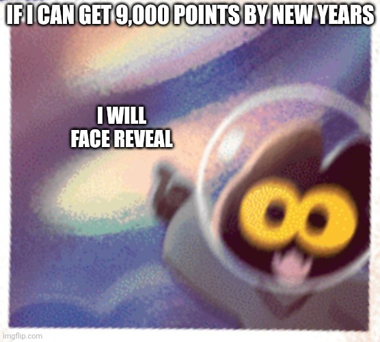 Momo the cat Pog | IF I CAN GET 9,000 POINTS BY NEW YEARS; I WILL FACE REVEAL | image tagged in momo the cat pog | made w/ Imgflip meme maker