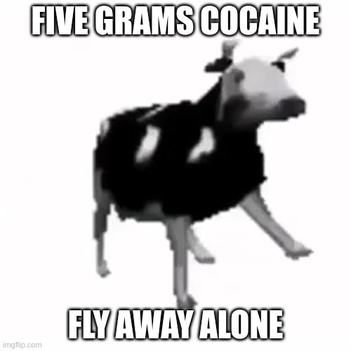 polish cow | FIVE GRAMS COCAINE; FLY AWAY ALONE | image tagged in polish cow,polish,cow,depression | made w/ Imgflip meme maker