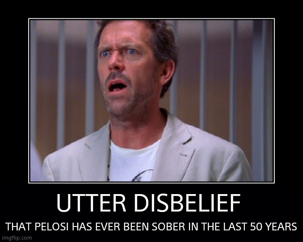 UTTER DISBELIEF THAT PELOSI HAS EVER BEEN SOBER IN THE LAST 50 YEARS | made w/ Imgflip meme maker