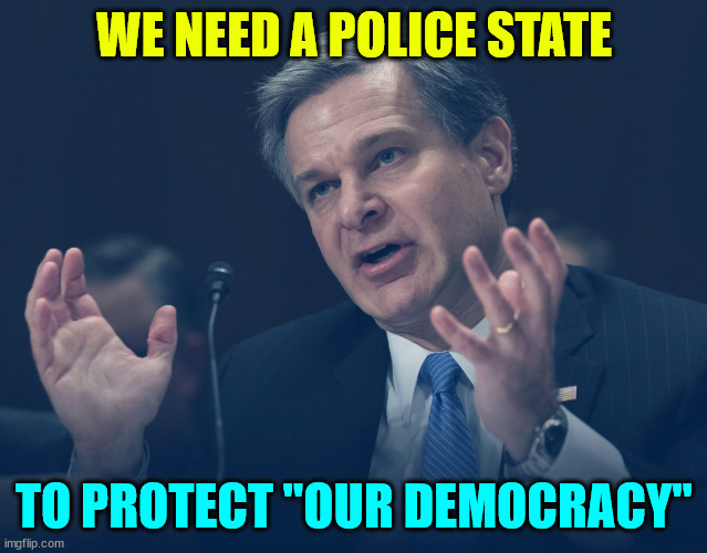 If Only You Knew How Bad Things Really Are | WE NEED A POLICE STATE TO PROTECT "OUR DEMOCRACY" | image tagged in if only you knew how bad things really are | made w/ Imgflip meme maker