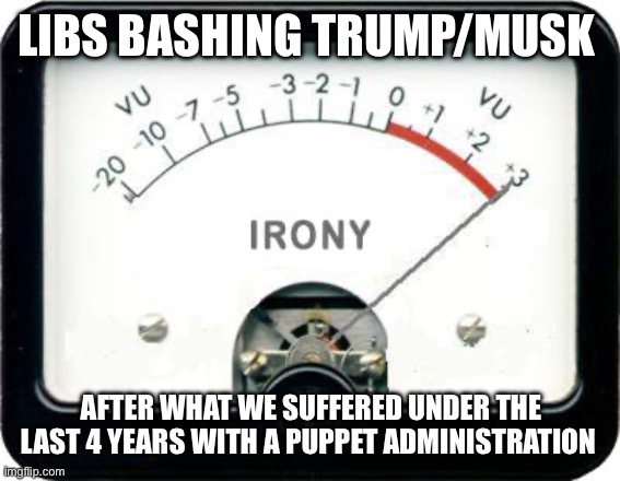 Irony Meter | LIBS BASHING TRUMP/MUSK; AFTER WHAT WE SUFFERED UNDER THE LAST 4 YEARS WITH A PUPPET ADMINISTRATION | image tagged in irony meter | made w/ Imgflip meme maker