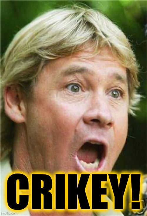 Steve Irwin shocked | CRIKEY! | image tagged in steve irwin shocked | made w/ Imgflip meme maker