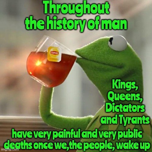 It's Worth Reading A History Book | Throughout the history of man; Kings, Queens, Dictators and Tyrants; have very painful and very public deaths once we,the people, wake up | image tagged in memes,but that's none of my business,kermit the frog,public executions,revolution,history of the world | made w/ Imgflip meme maker