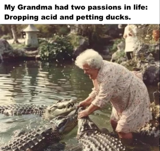 image tagged in granny,lsd | made w/ Imgflip meme maker