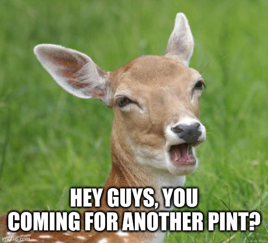 Go Home Bambi, You're Drunk | HEY GUYS, YOU COMING FOR ANOTHER PINT? | image tagged in go home bambi you're drunk | made w/ Imgflip meme maker