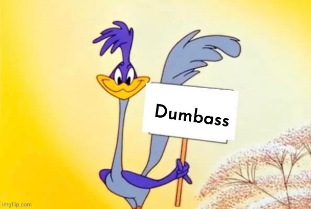 Roadrunner | Dumbass | image tagged in roadrunner | made w/ Imgflip meme maker