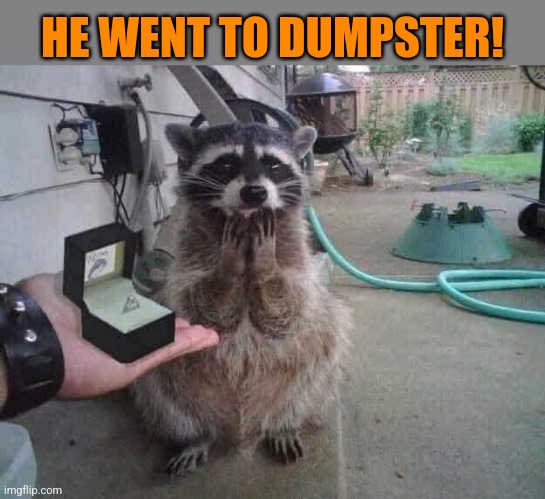 Give the best | HE WENT TO DUMPSTER! | image tagged in racoon,gifts,the best,dumpster,jewelry | made w/ Imgflip meme maker