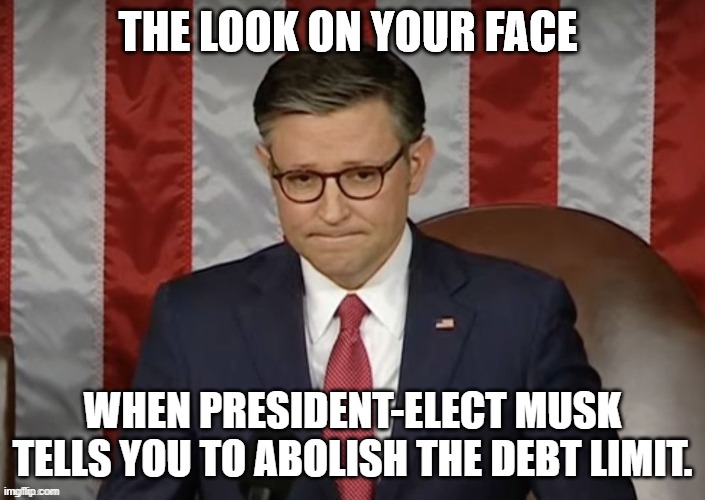 The Look on your face | WHEN PRESIDENT-ELECT MUSK TELLS YOU TO ABOLISH THE DEBT LIMIT. | image tagged in the look on your face | made w/ Imgflip meme maker