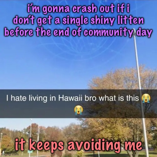 I hate living in Hawaii bro what is this | i’m gonna crash out if i don’t get a single shiny litten before the end of community day; it keeps avoiding me | image tagged in i hate living in hawaii bro what is this,cinnabox announcement | made w/ Imgflip meme maker