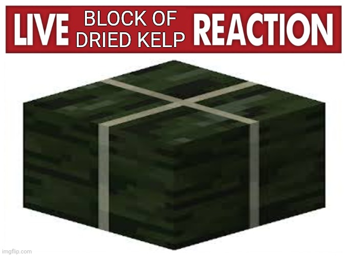 Live reaction | BLOCK OF DRIED KELP | image tagged in live reaction | made w/ Imgflip meme maker