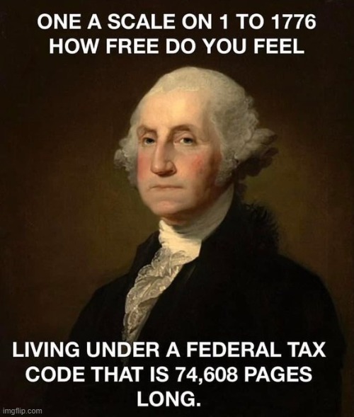 Excessive? | image tagged in taxes,tax,income taxes,freedom,let's raise their taxes,excuse me what the heck | made w/ Imgflip meme maker