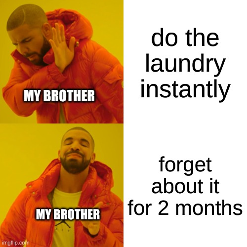 I have a mountain of clothes now. | do the laundry instantly; MY BROTHER; forget about it for 2 months; MY BROTHER | image tagged in memes,drake hotline bling | made w/ Imgflip meme maker