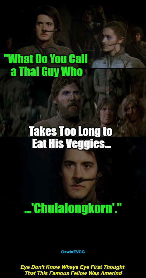 Eye Don't Know Wheye Eye First Thought That This Famous Fellow Was Amerind | "What Do You Call 

a Thai Guy Who; Takes Too Long to 

Eat His Veggies... ...'Chulalongkorn'."; OzwinEVCG; Eye Don't Know Wheye Eye First Thought 

That This Famous Fellow Was Amerind | image tagged in dune naming ceremony,say what,awkward,jokes,world history,what do you call | made w/ Imgflip meme maker