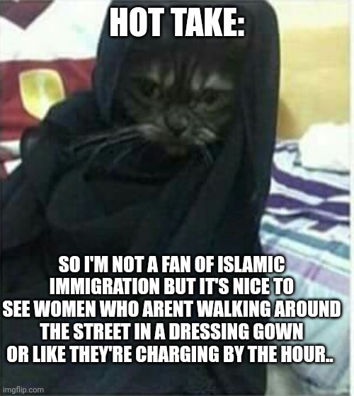 Silver linings I guess.. | HOT TAKE:; SO I'M NOT A FAN OF ISLAMIC IMMIGRATION BUT IT'S NICE TO SEE WOMEN WHO ARENT WALKING AROUND THE STREET IN A DRESSING GOWN OR LIKE THEY'RE CHARGING BY THE HOUR.. | image tagged in hijab cat | made w/ Imgflip meme maker