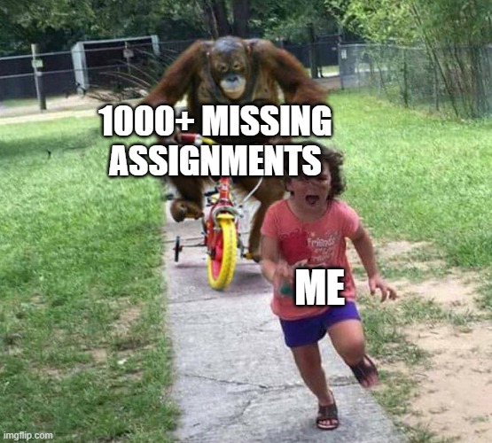 DO THE ASSIGNMENTS, GIRL. | 1000+ MISSING ASSIGNMENTS; ME | image tagged in run | made w/ Imgflip meme maker