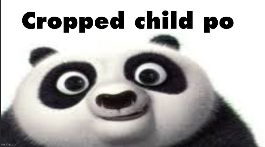 Cropped child po | image tagged in cropped child po | made w/ Imgflip meme maker