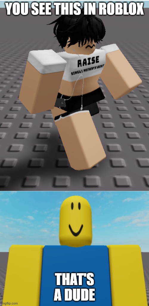 you see this in roblox | YOU SEE THIS IN ROBLOX; THAT'S A DUDE | image tagged in roblox,noob,femboy | made w/ Imgflip meme maker