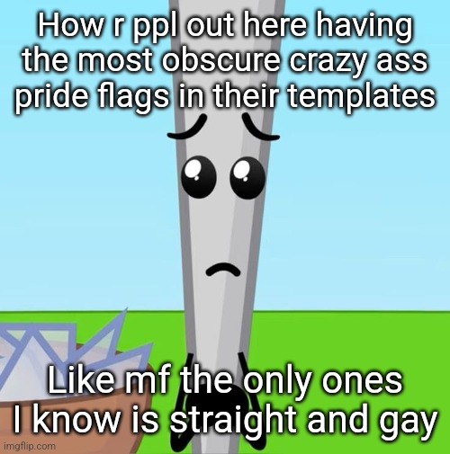 The silly | How r ppl out here having the most obscure crazy ass pride flags in their templates; Like mf the only ones I know is straight and gay | image tagged in the silly | made w/ Imgflip meme maker